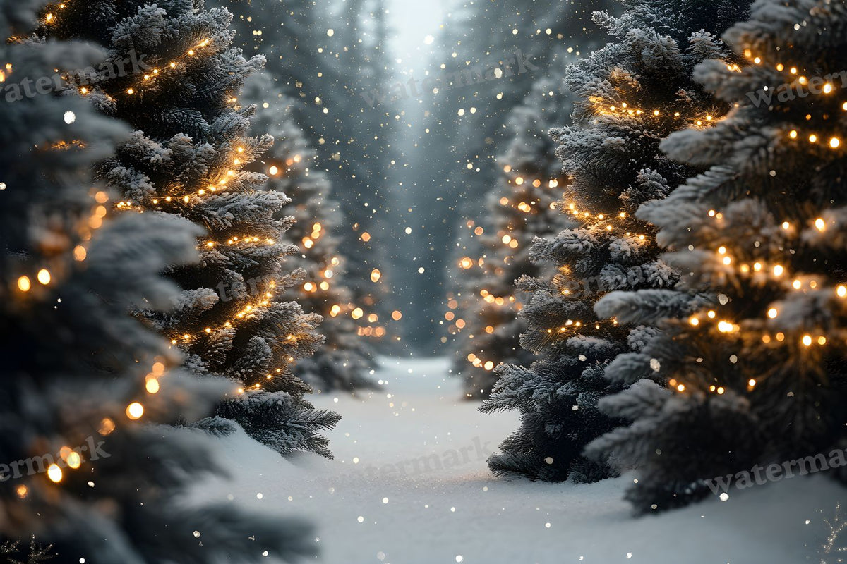 Snowy Forest Backdrop Images