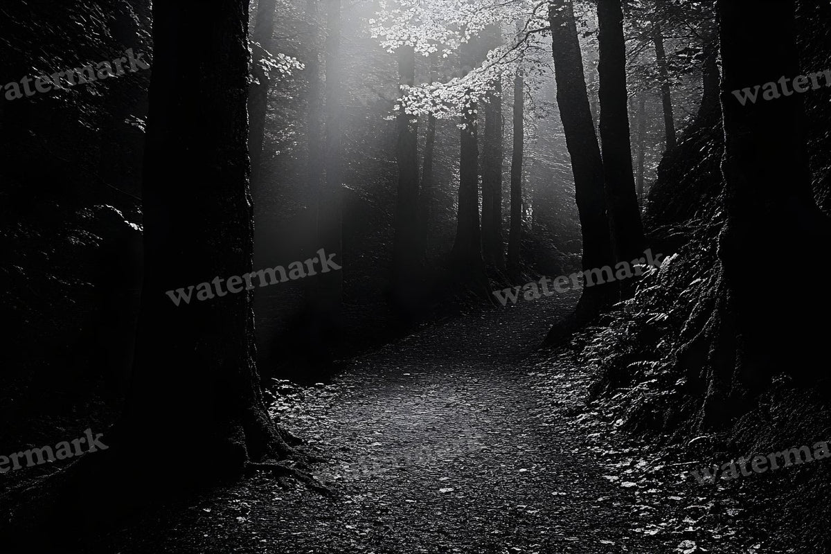 Spooky Forest digital photo backdrop for photo editing, preview 3