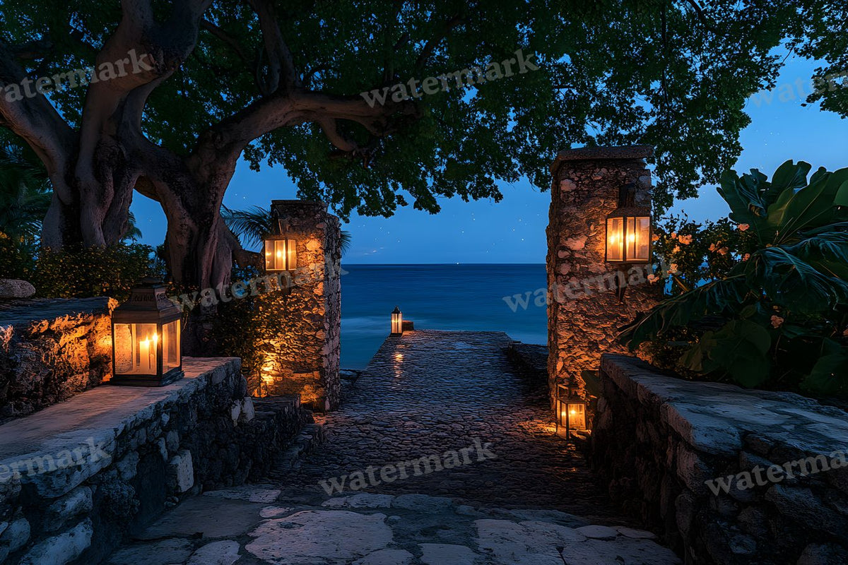 Starry Night digital photo backdrop for photo editing, preview 3