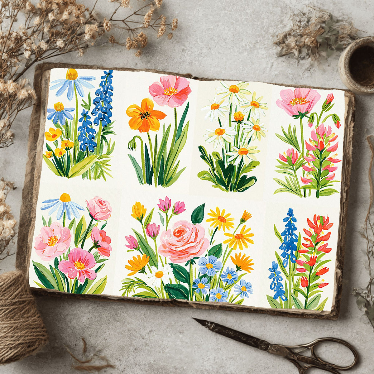 Watercolor Wildflower Botanical Illustration Set