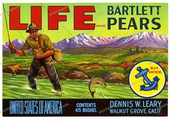 Ads Vintage Prints
