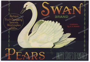 Ads Vintage Prints