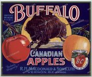 Ads Vintage Prints