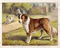 Animals Vintage Prints