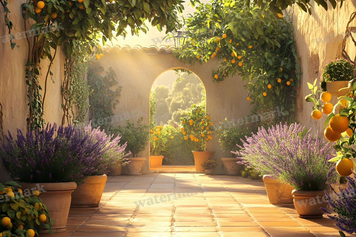 Botanical Garden Backdrop Images