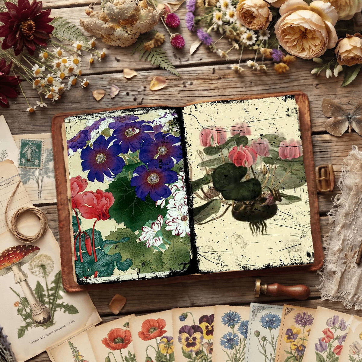 Botanical Illustrations Digital Papers