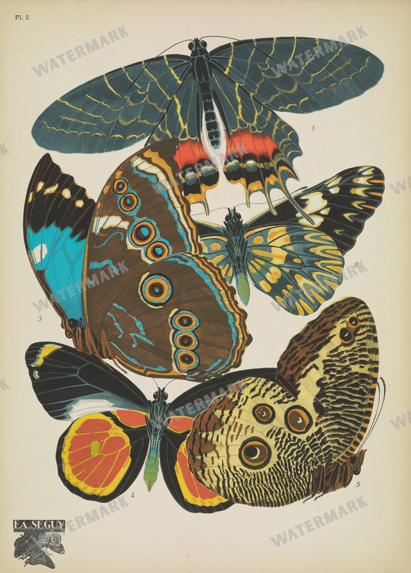E A Seguy Vintage Prints