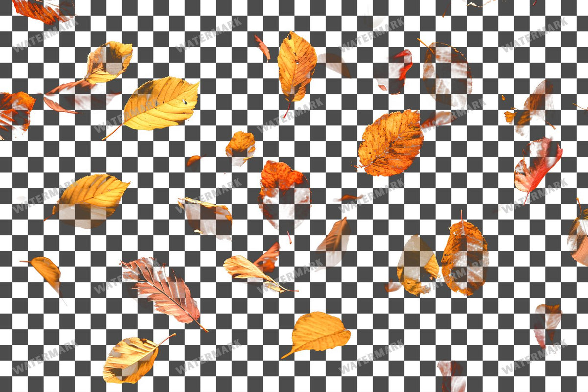 Golden Autumn Leaves Floating PNG overlay on a transparent checkered background, preview 4
