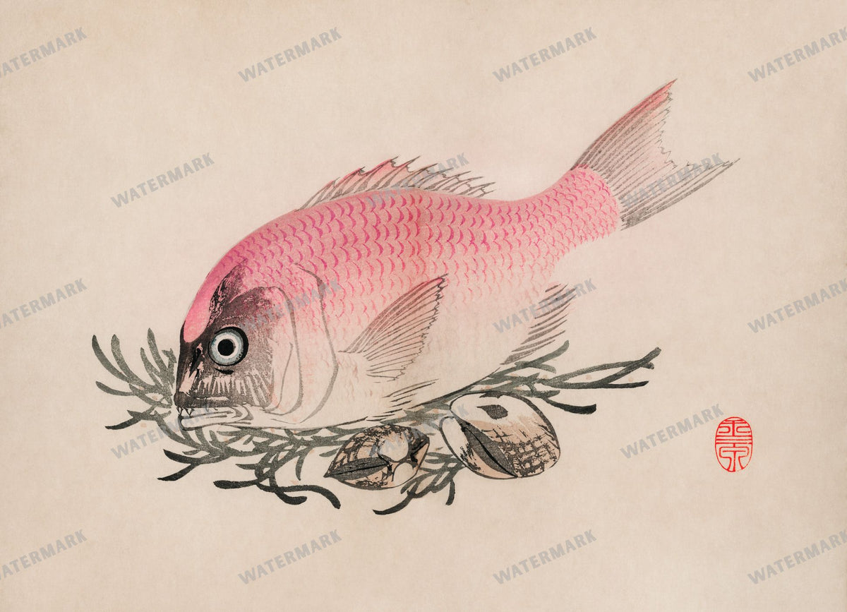 Lithographs Vintage Paintings