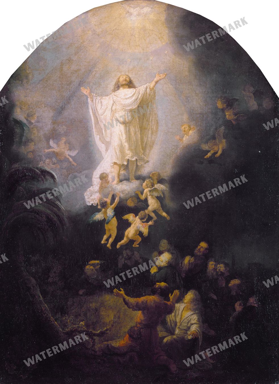 Rembrandt Van Rijn Vintage Paintings