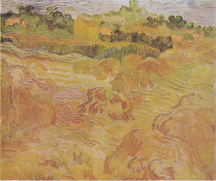 Vincent Willem Van Gogh Vintage Paintings