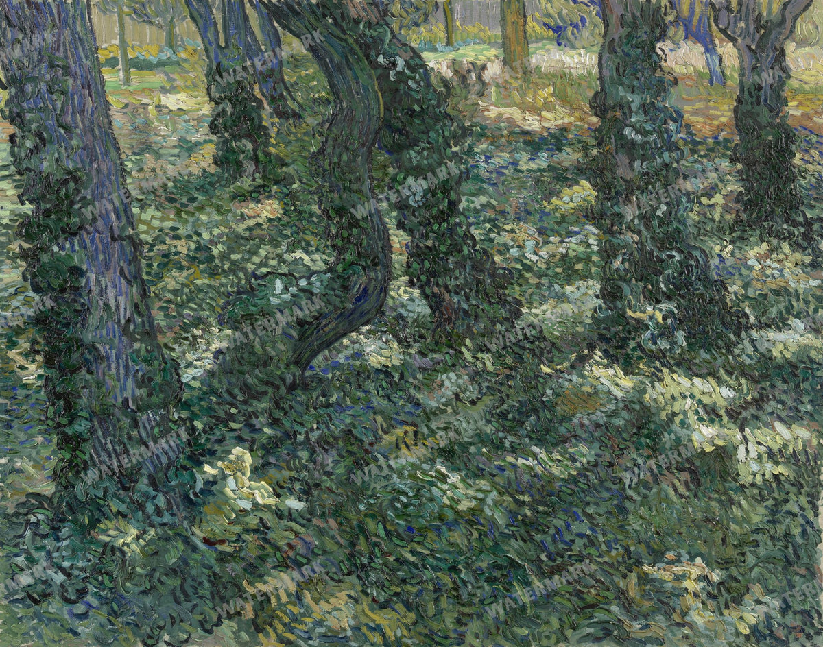 Vincent Willem Van Gogh Vintage Paintings