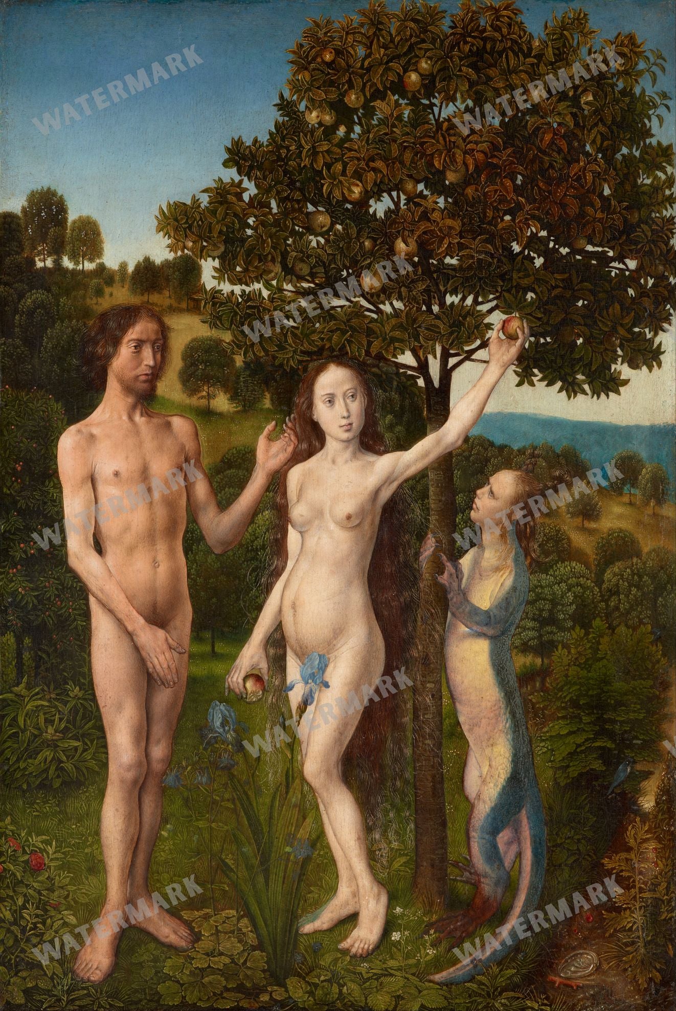 Wall Art Vintage Paintings