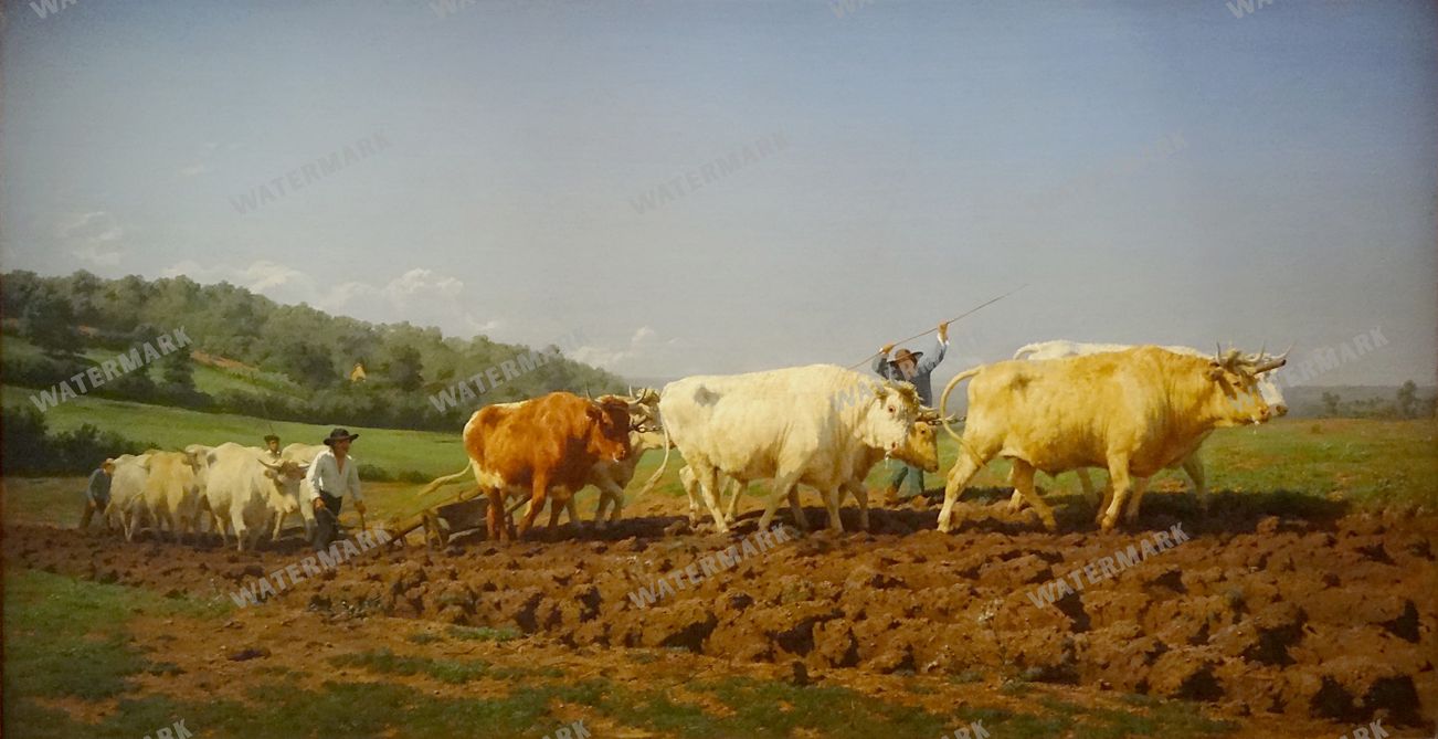 Wall Art Vintage Paintings