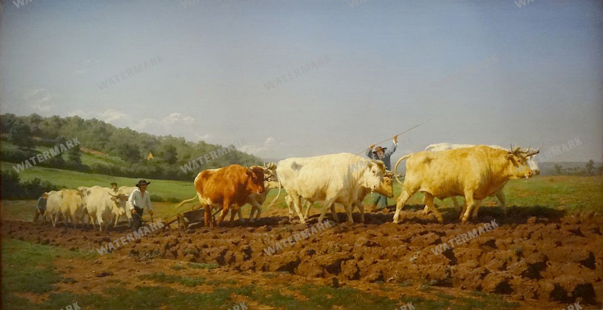 Wall Art Vintage Paintings