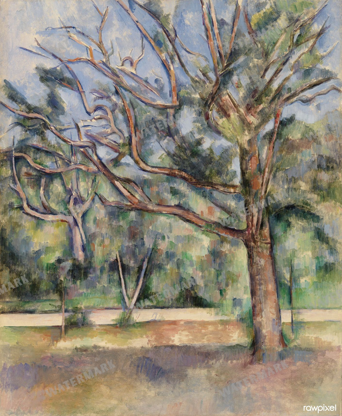 Wall Art Vintage Paintings