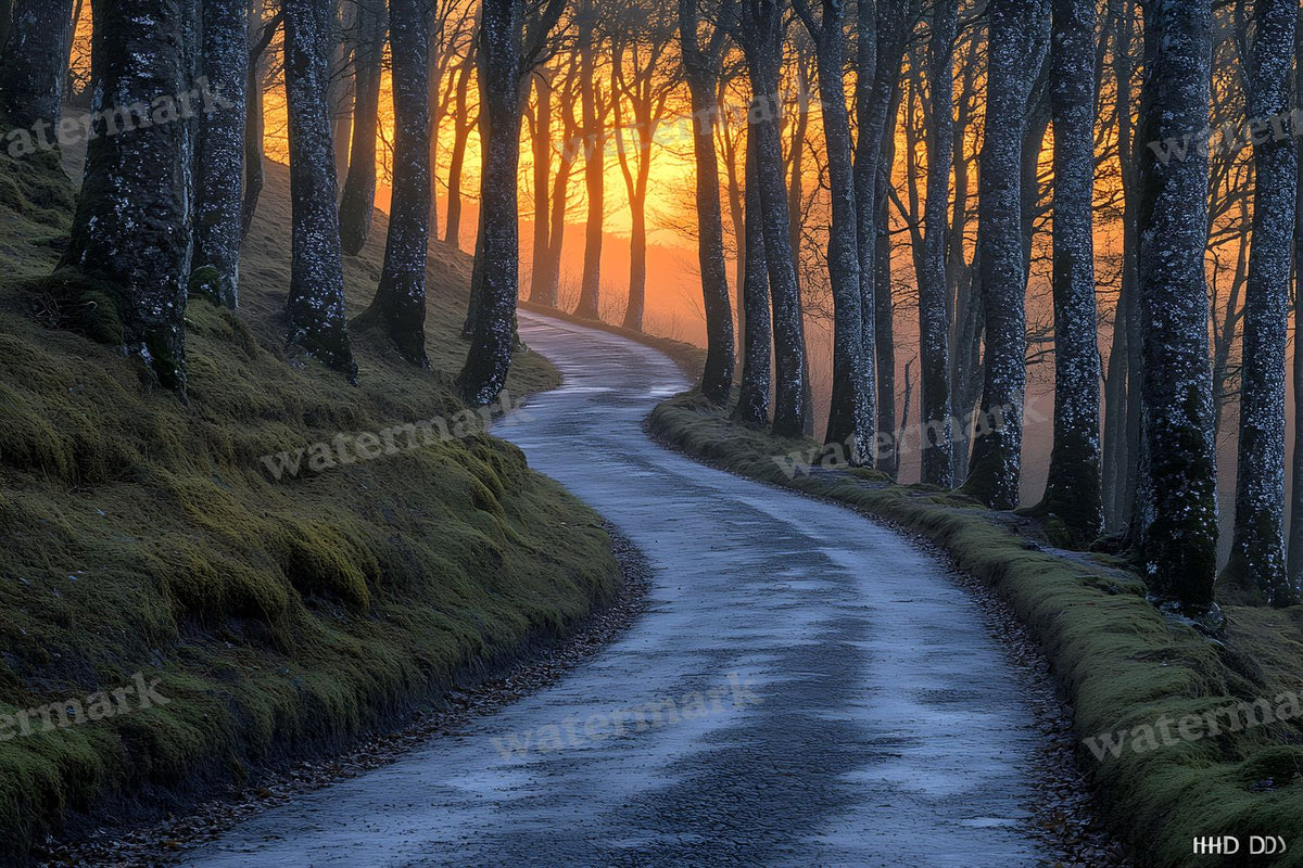 Wooded Trail At Dusk Backdrop Images