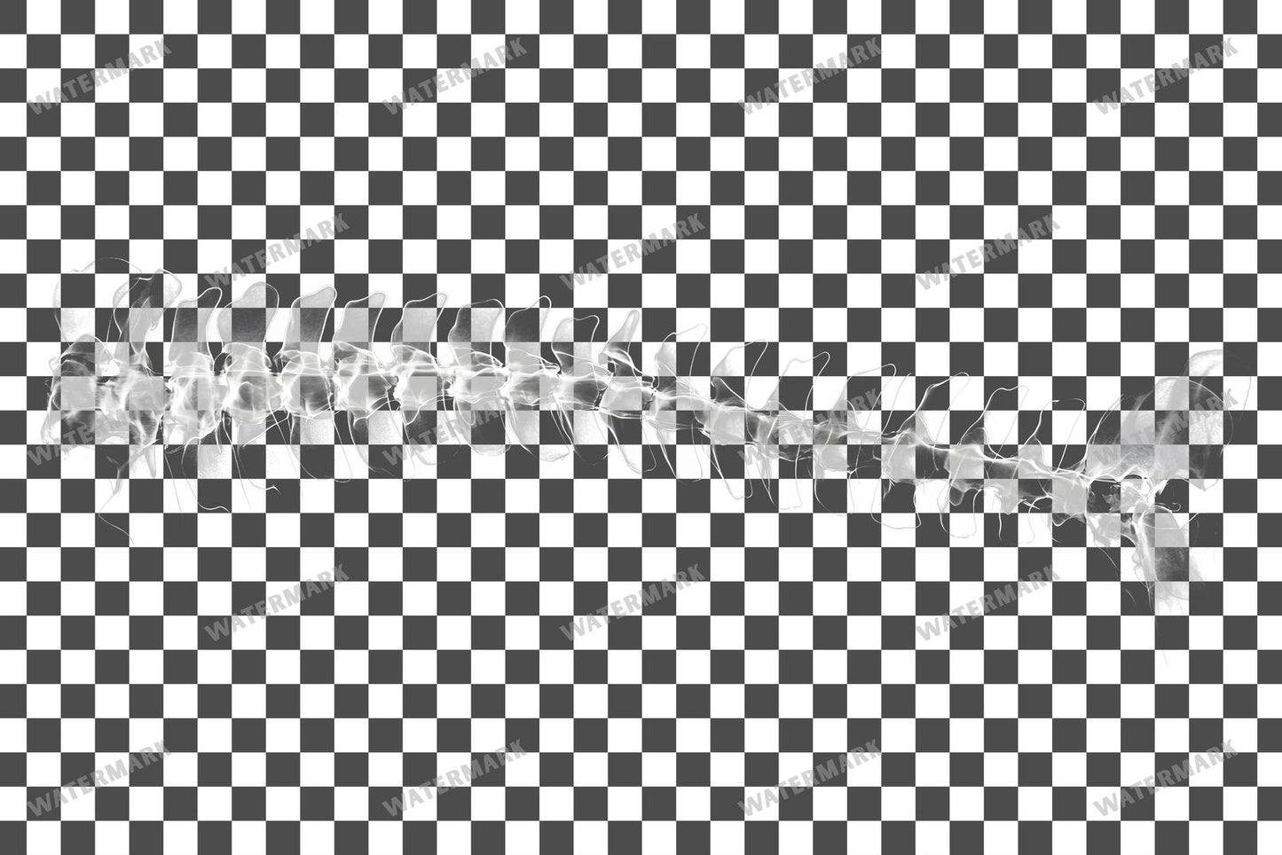X-Ray Transparent Overlay Pngs
