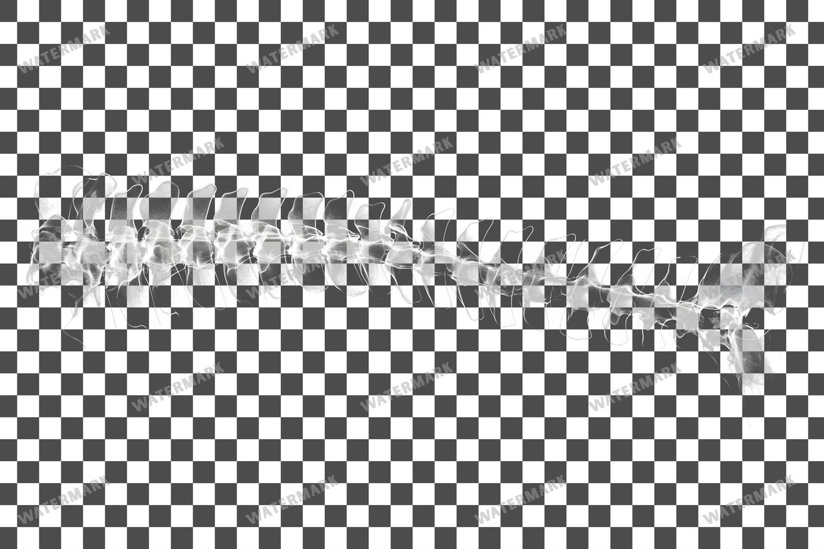 X-Ray Transparent Overlay Pngs