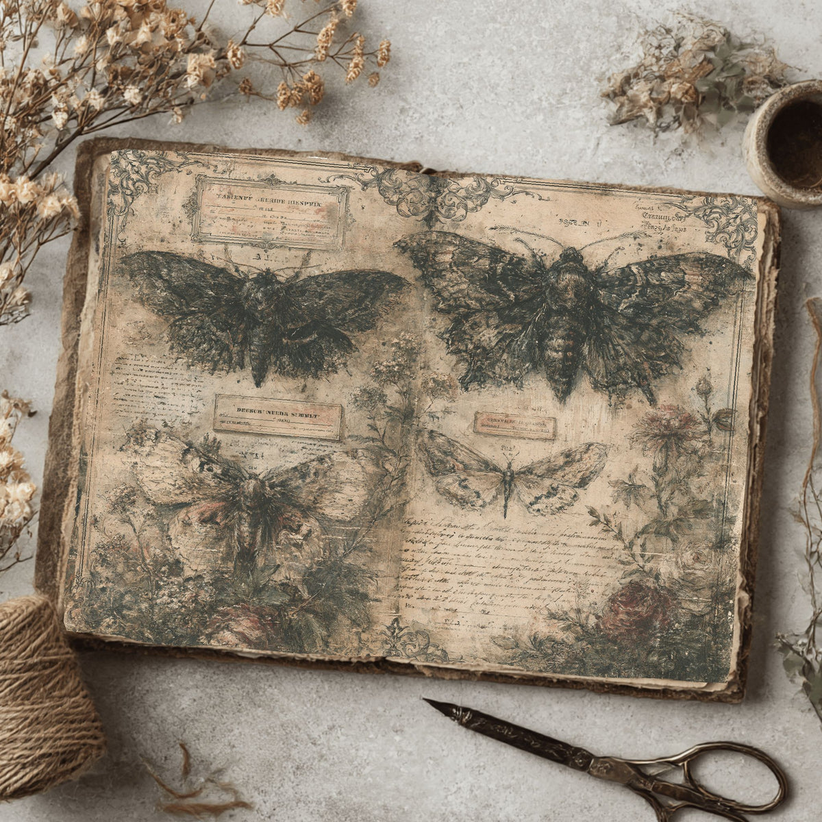 Gothic Butterfly & Moth Journal Paper