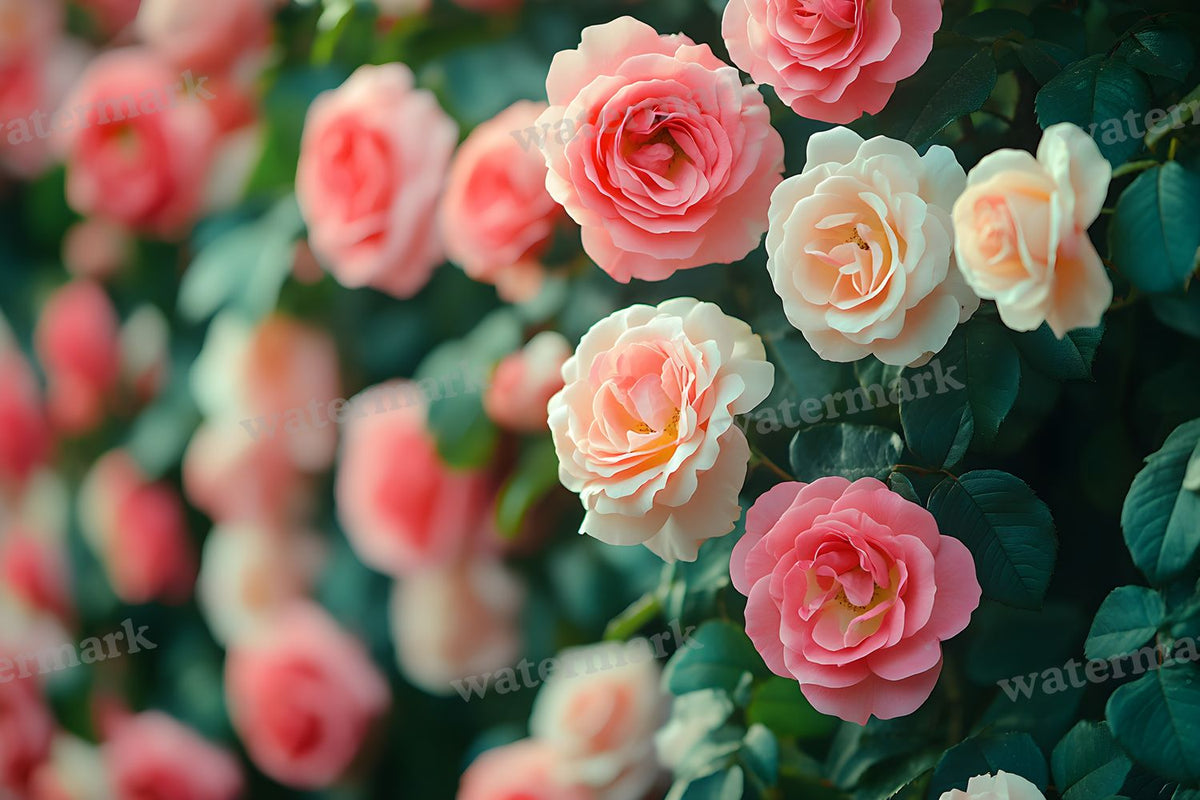 Romantic Rose Garden digital photo backdrop for photo editing, preview 4