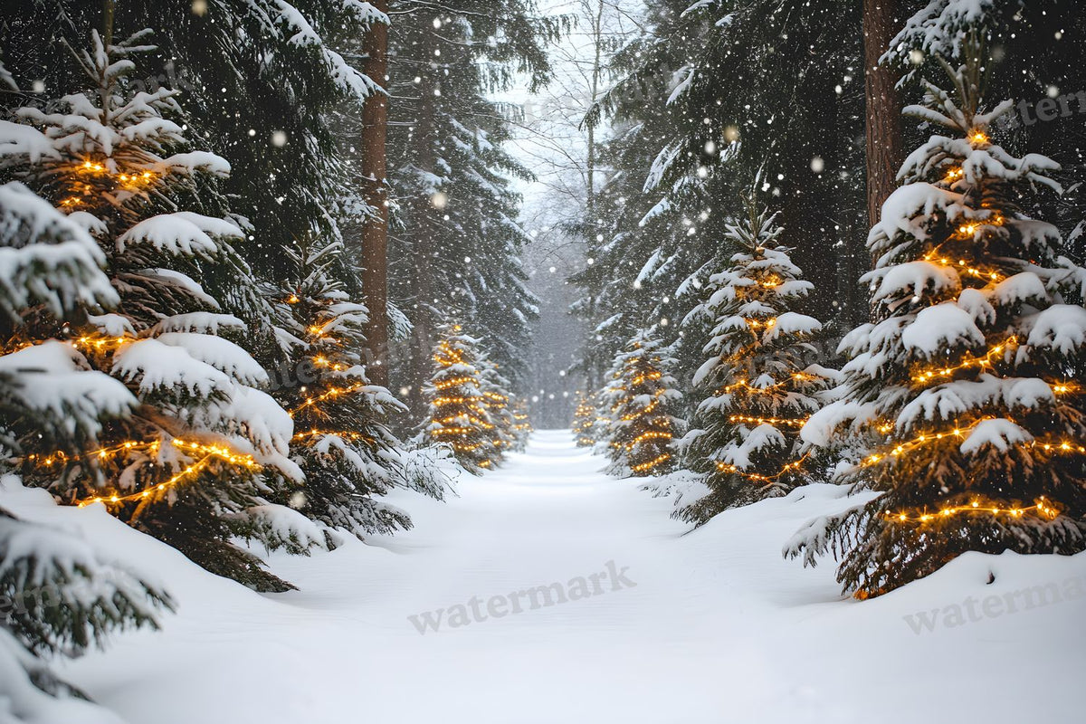 Snowy Forest Backdrop Images