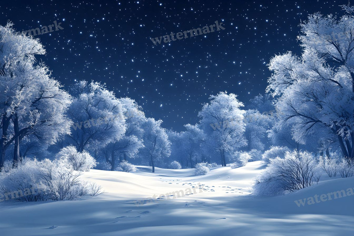Starry Night digital photo backdrop for photo editing, preview 4