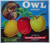 Ads Vintage Prints