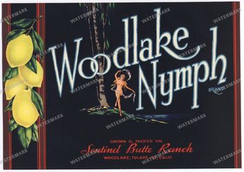 Ads Vintage Prints