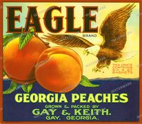 Ads Vintage Prints