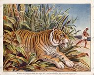 Animals Vintage Prints
