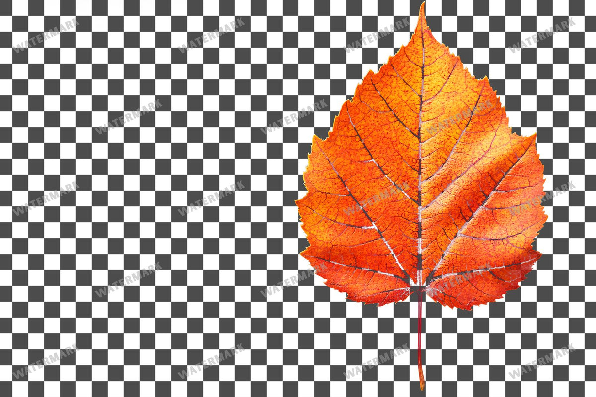 Autumn Sassafras Leaf Light Warm PNG overlay on a transparent checkered background, preview 5