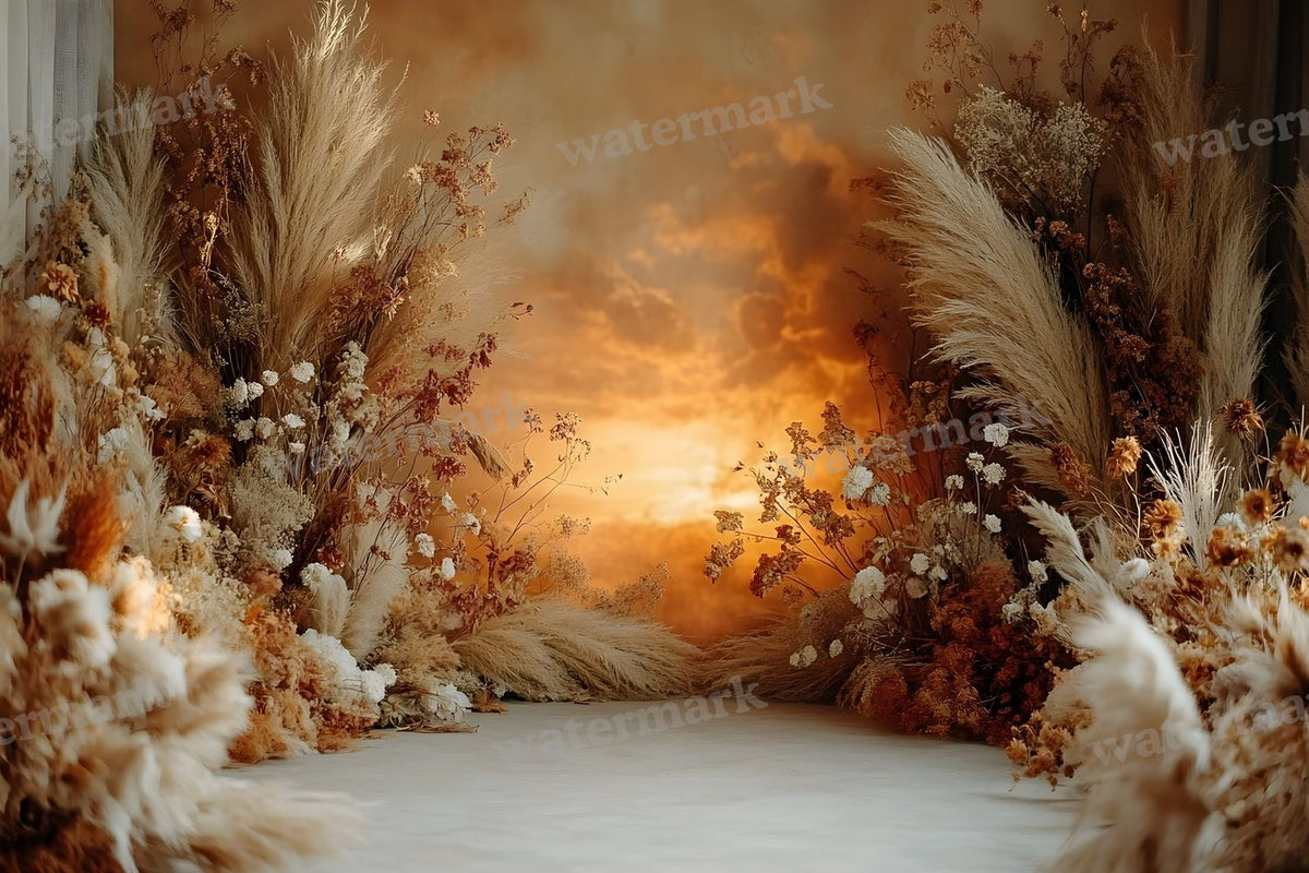 Boho Sunset Arch Backdrop Images