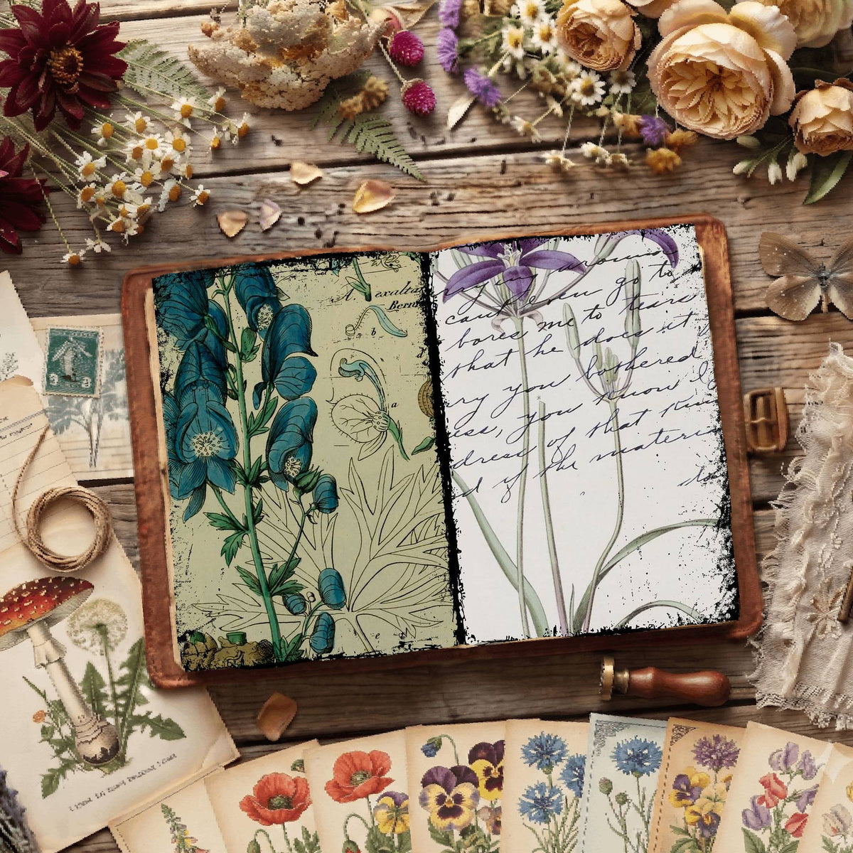 Botanical Illustrations Digital Papers