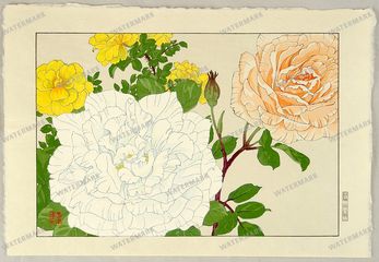 Botanical Vintage Prints