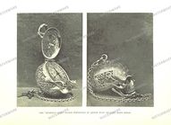Clocks And Timepieces Vintage Prints
