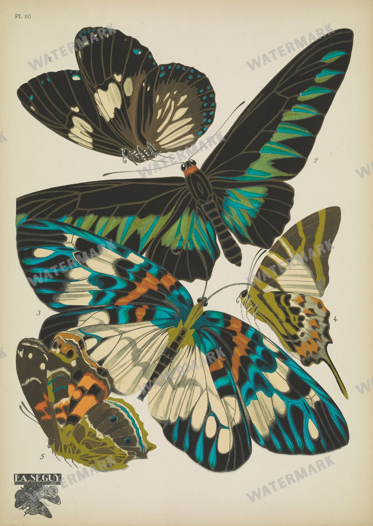 E A Seguy Vintage Prints