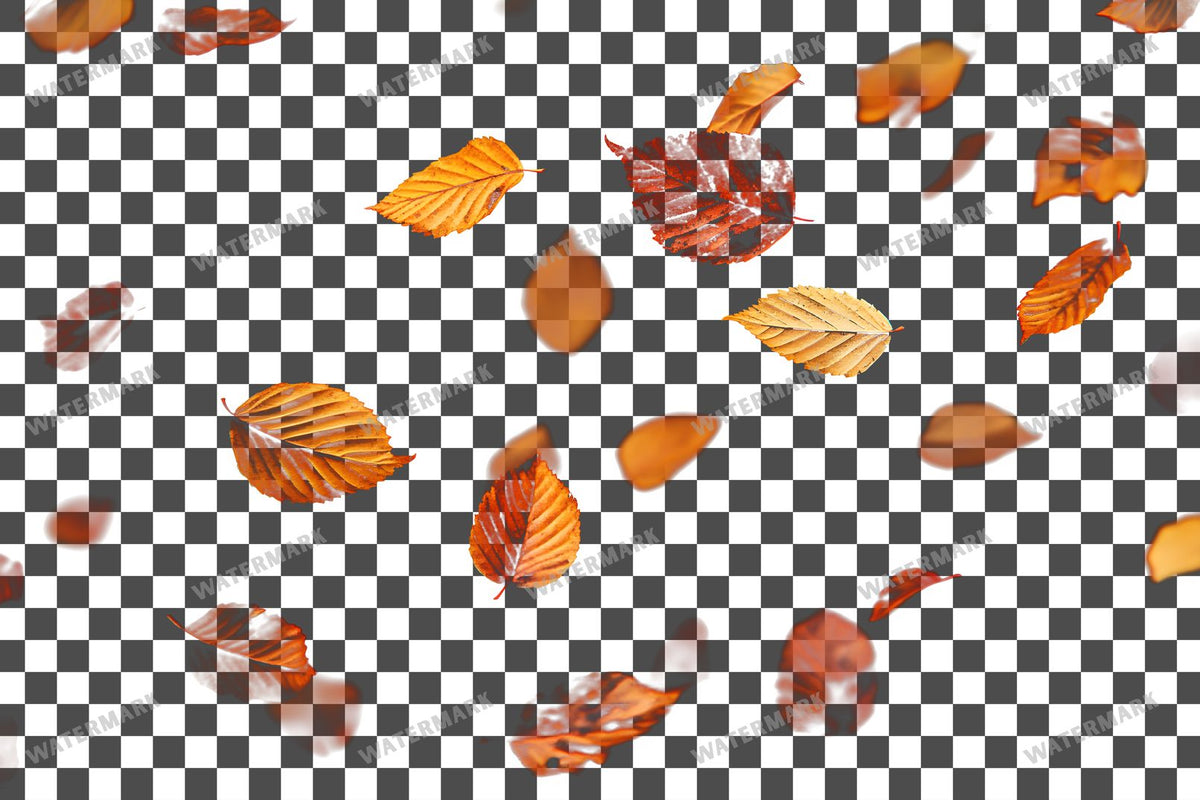 Golden Autumn Leaves Floating PNG overlay on a transparent checkered background, preview 5