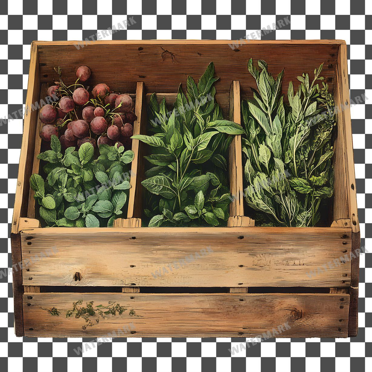 Herbs Vintage Style clipart PNG on a transparent background, design 5