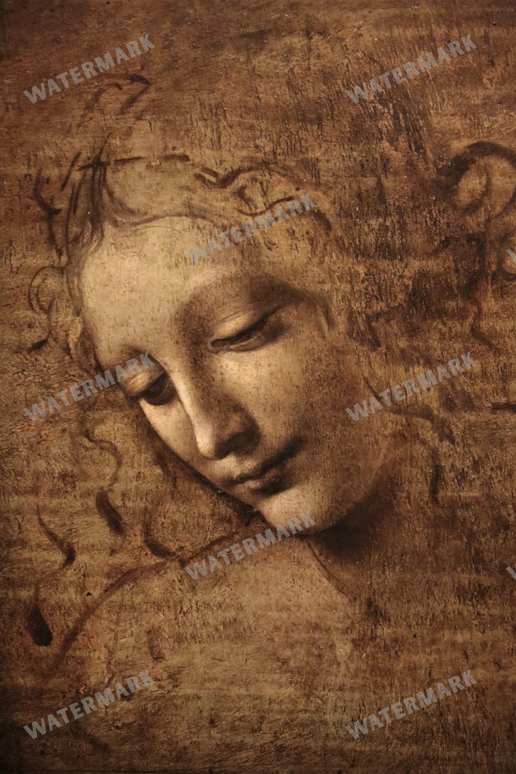 Leonardo Da Vinci Vintage Paintings