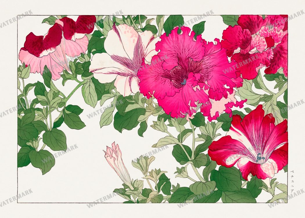Seiyô Sôka Zufu Vintage Paintings