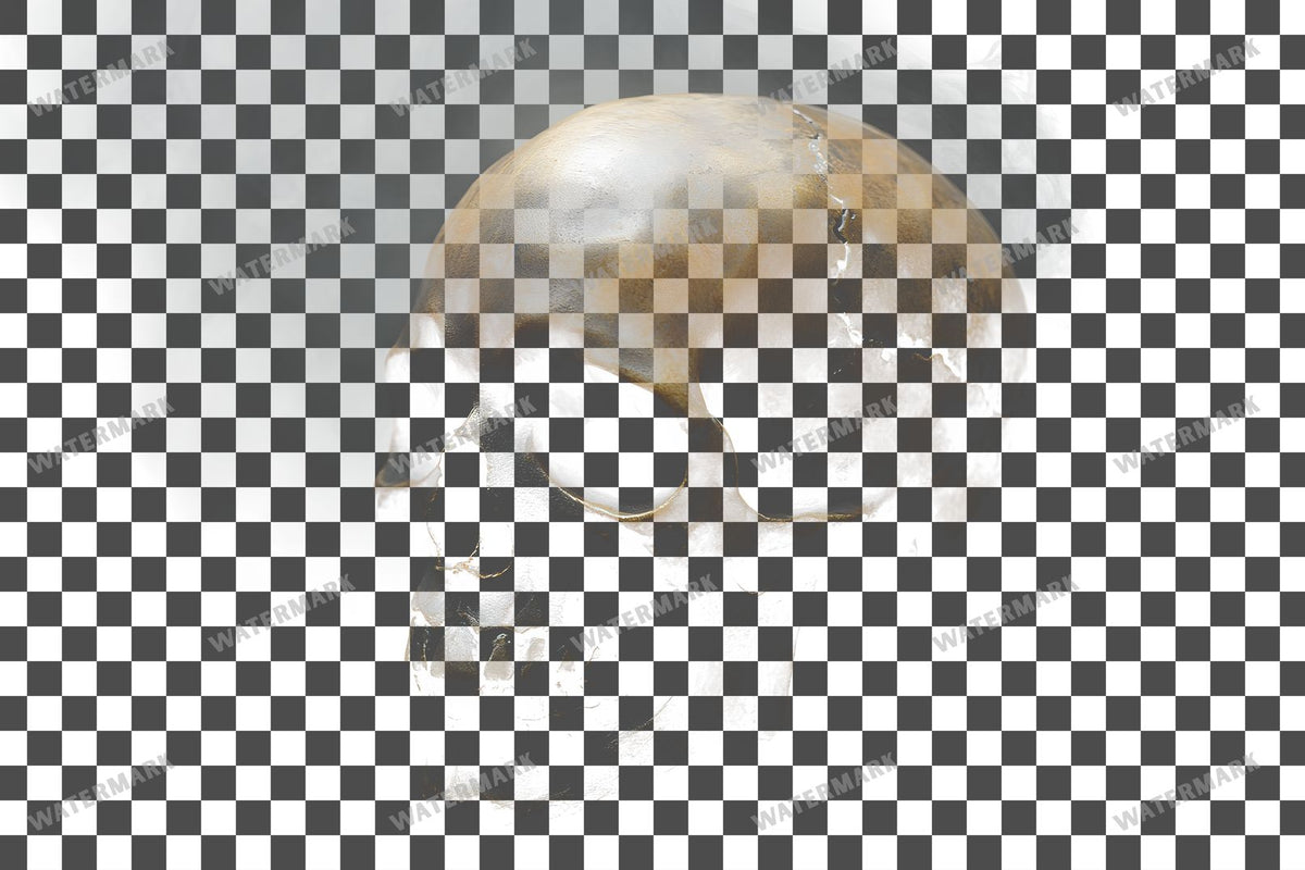 Small Gothic Skull Overlay With Foggy