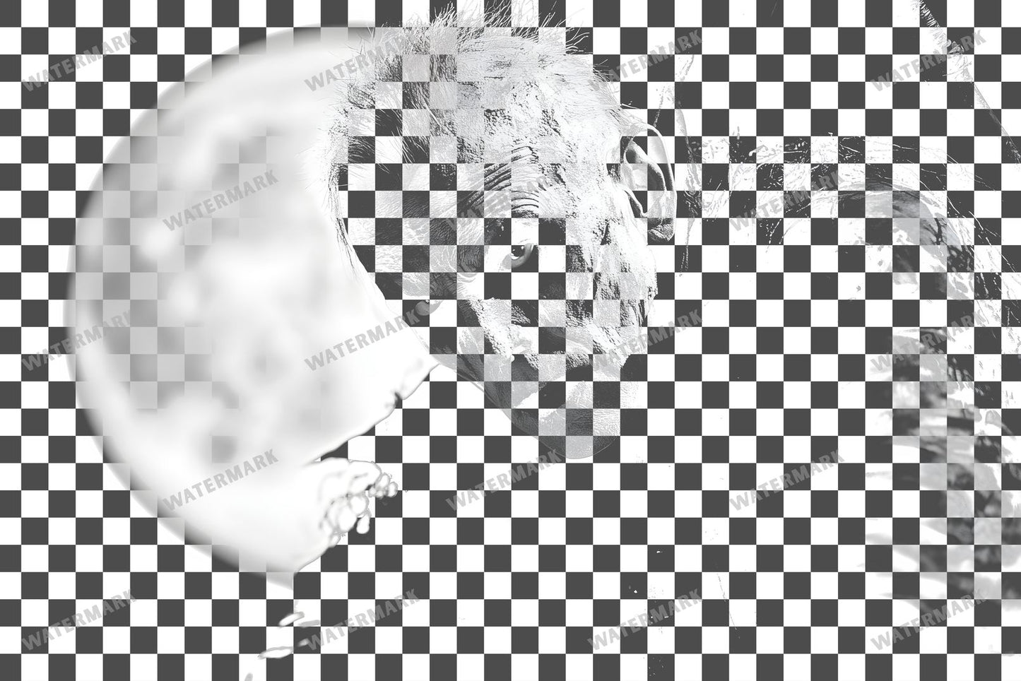 Vampire Transparent Overlay Pngs