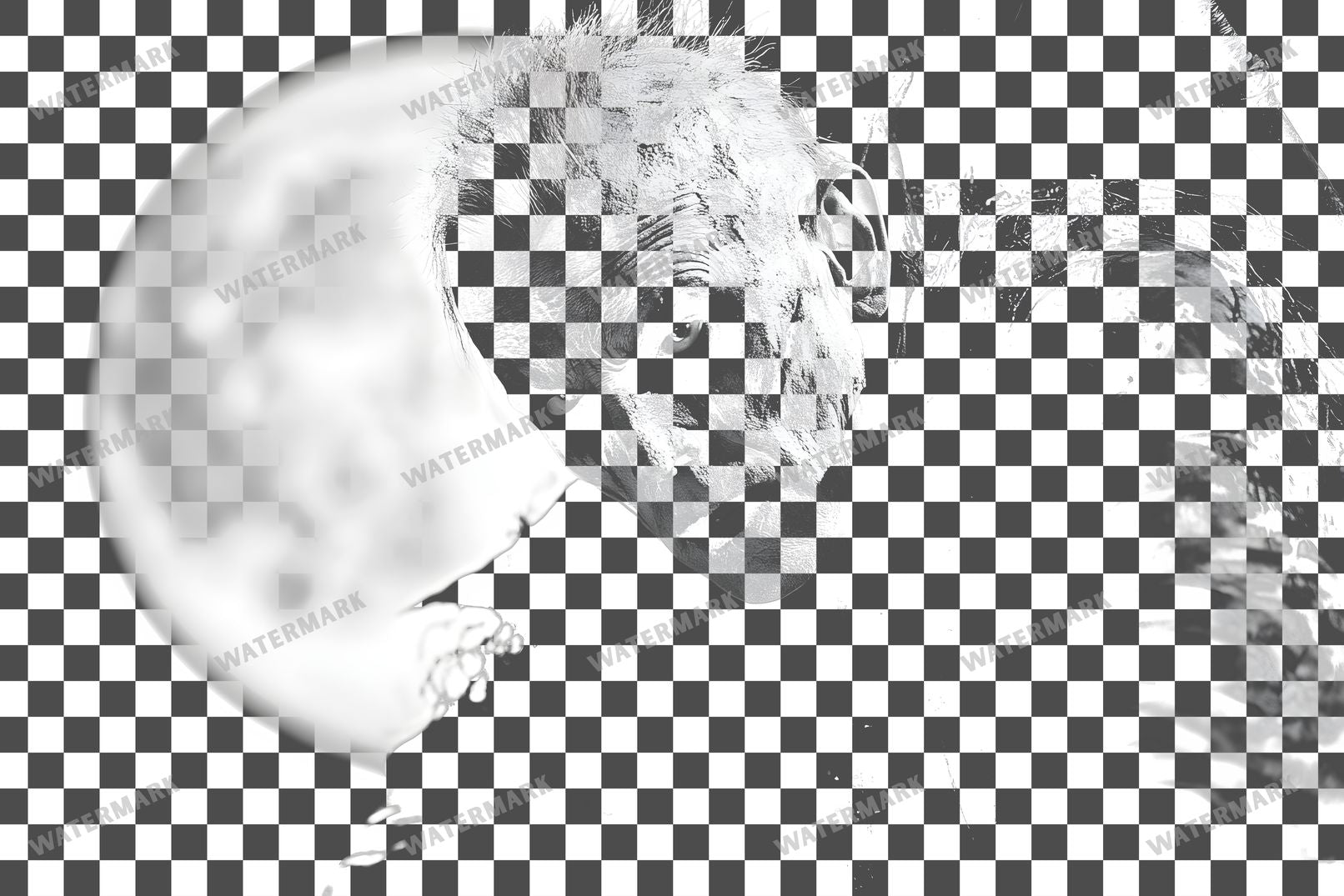 Vampire Transparent Overlay Pngs