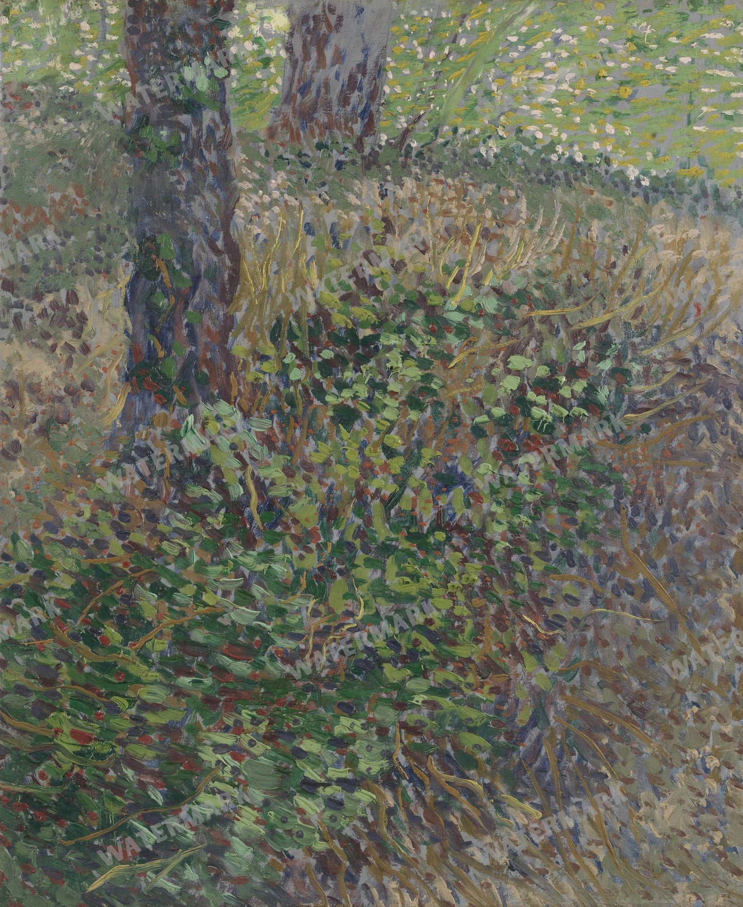 Vincent Willem Van Gogh Vintage Paintings