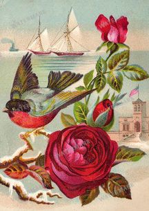 Vintage Roses Vintage Prints