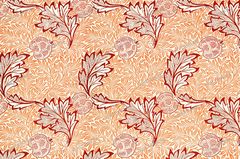 William Morris Vintage Prints