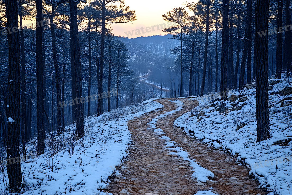 Wooded Trail At Dusk Backdrop Images