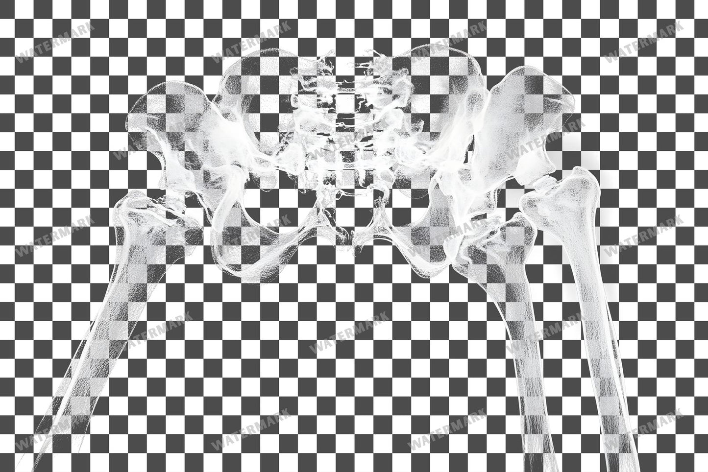 X-Ray Transparent Overlay Pngs
