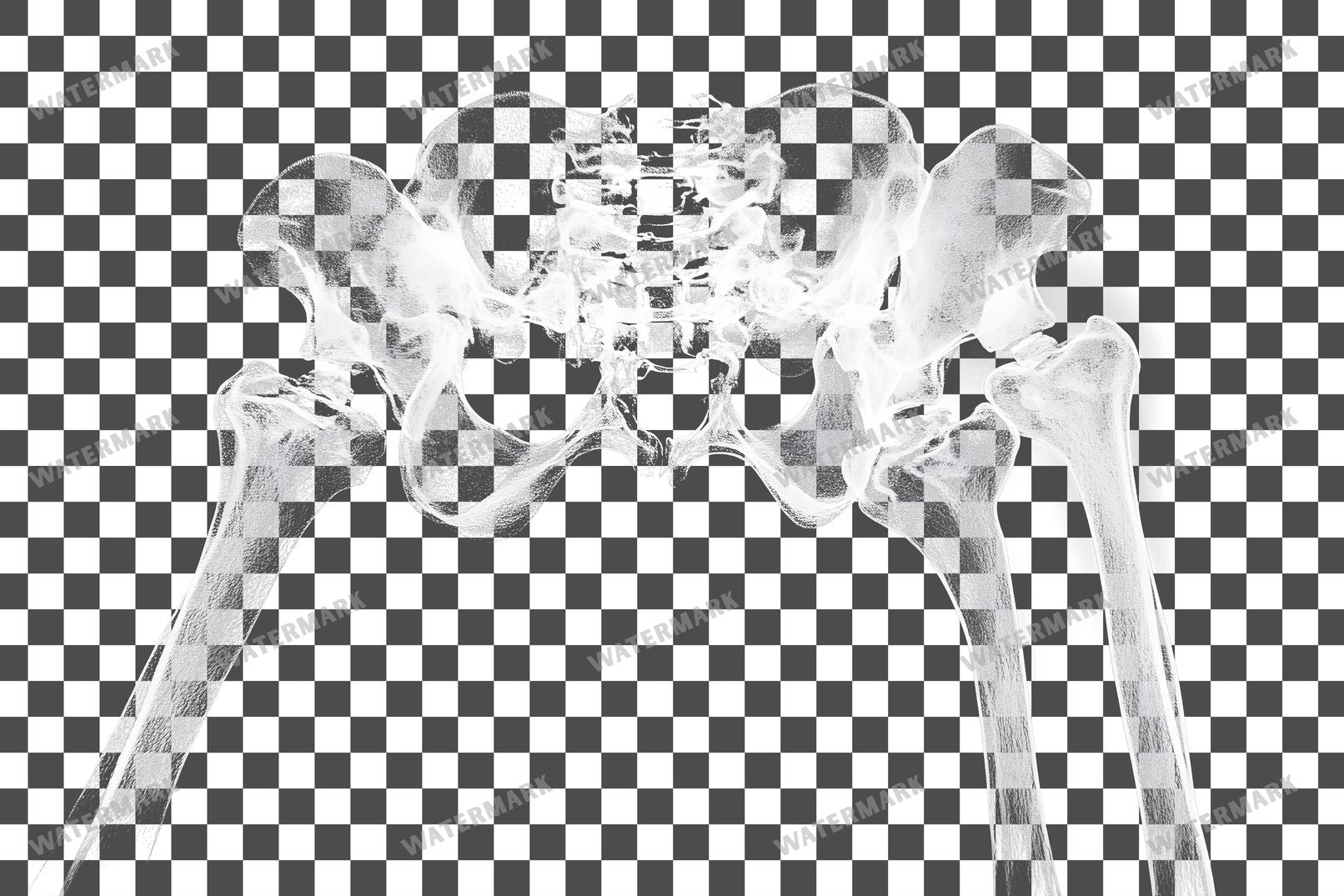 X-Ray Transparent Overlay Pngs